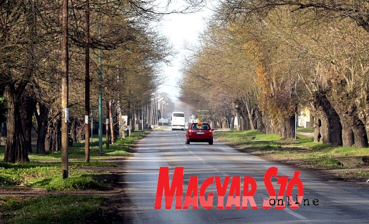 Csantavér környékén szélerőmű-park létesülhet (Fotó: Gergely Árpád) Csantavér környékén szélerőmű-park létesülhet (Fotó: Gergely Árpád)