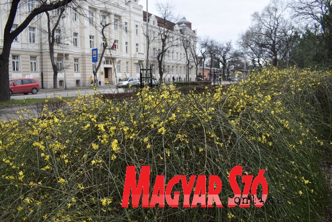 (Fotó: Patyi Szilárd)