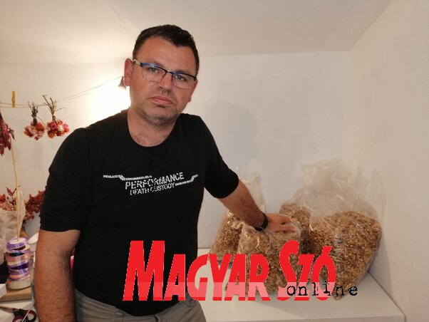 A dió termesztését állami támogatással lehetne ösztönözni, vallja a bajmoki termelő (Fotó: Horváth Zsolt) A dió termesztését állami támogatással lehetne ösztönözni, vallja a bajmoki termelő (Fotó: Horváth Zsolt)