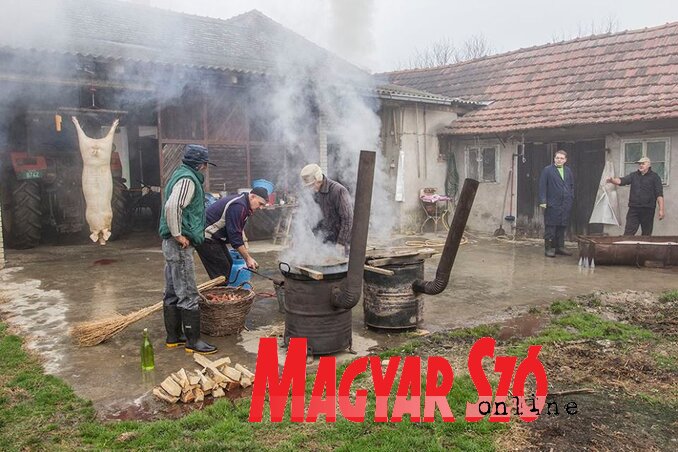 Hagyományos, családi disznóvágás Gelléréknél (Petar Dešić fotója) Hagyományos, családi disznóvágás Gelléréknél (Petar Dešić fotója)