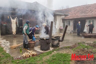 Hagyományos, családi disznóvágás Gelléréknél (Petar Dešić fotója)