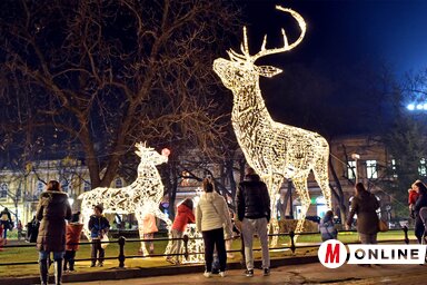 (Gergely Árpád illusztrációja)