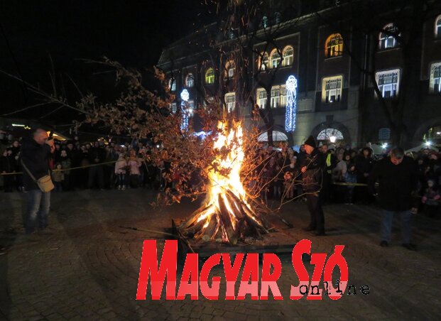 (Fotó: Lackó Varjú Sára) (Fotó: Lackó Varjú Sára)
