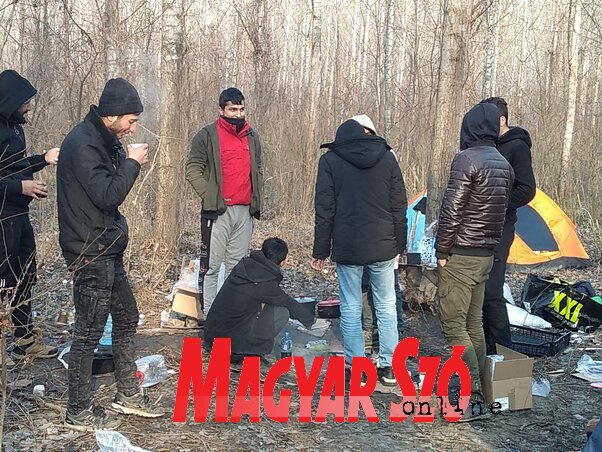 A Tisza-parti sávban rendszeresen felszámolják a sátortáborokat (Jenei Klementina felvétele)