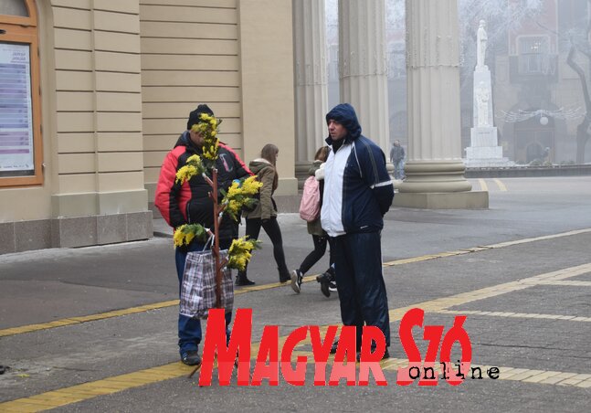 (Fotó: Patyi Szilárd) (Fotó: Patyi Szilárd)