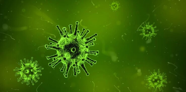 Igyekeznek megfékezni a koronavírus terjedését (Illusztráció: pixabay.com)