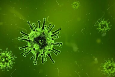 Igyekeznek megfékezni a koronavírus terjedését (Illusztráció: pixabay.com)