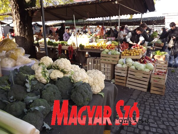 A város népszerű közösségi tere a Láncok (Fekete J. József felvétele)