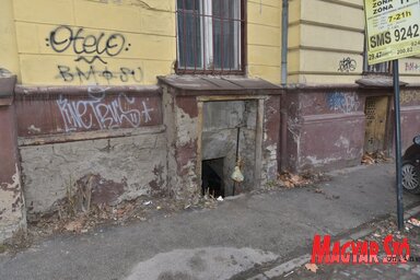 A városközpontban lévő pincehelyiségekbe is behúzódnak (Fotó: Gergely Árpád)