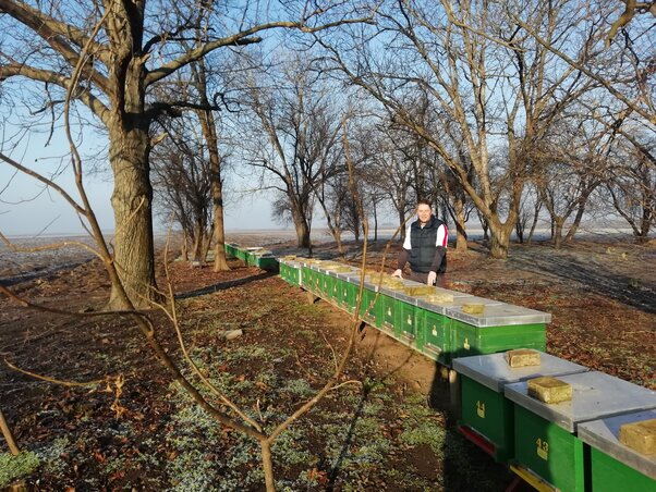 A Birinyi méhészetben jelenleg majd 60 jóváhagyással rendelkező kaptár van (Tóth D. Lívia felvétele)