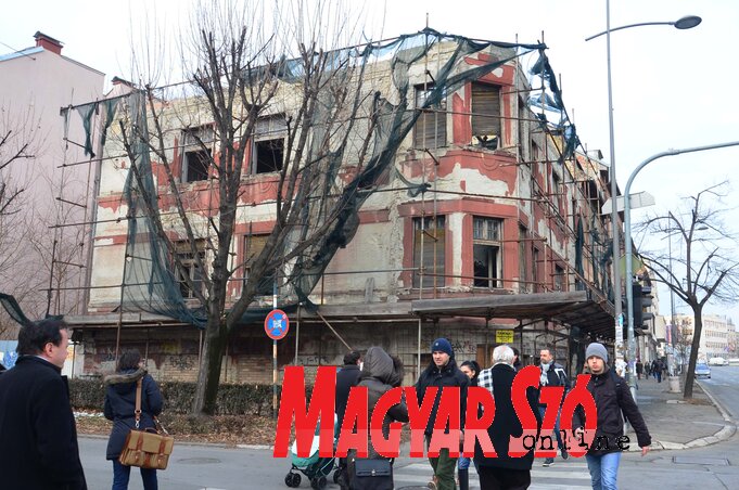 Fotó: Dávid Csilla