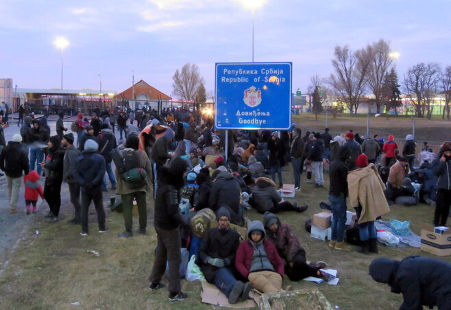 A tompai határ előtt telepedtek le, mivel azt a magyar hatóságok lezárták (Benedek Miklós felvétele)