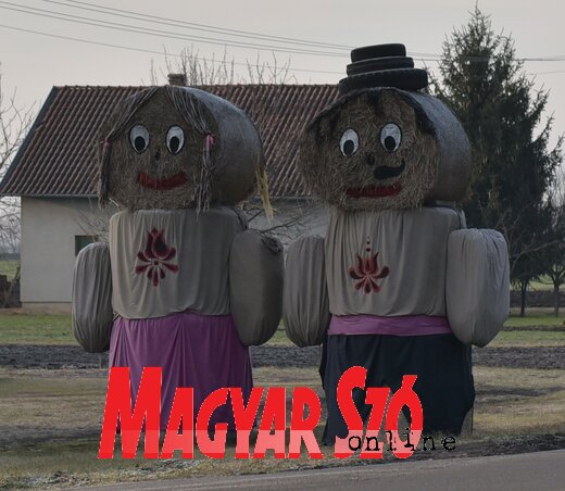 Szalmapár (Gergely Árpád felvétele) Szalmapár (Gergely Árpád felvétele)