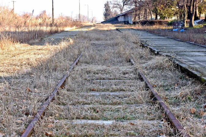 A Szabadka–Szeged vasútvonal Horgosnál – a síneket benőtte a gaz (Gergely Árpád felvétele)