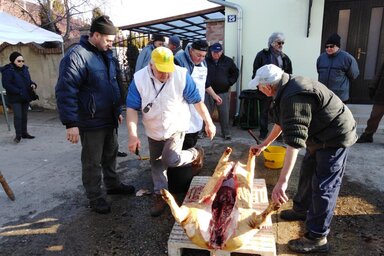 Hagyományos módon bontották fel a hízót (Herceg Elizabetta felvétele)