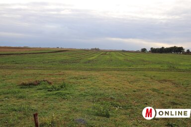 Parlagon is marad terület (Puskás Károly felvétele)