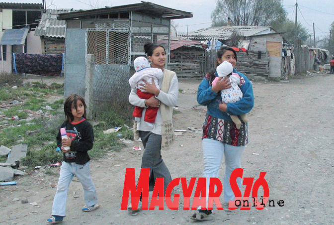 Az újvidéki önkormányzat az Európai Unió támogatásával újabb programot indít a roma gyermekek felzárkóztatásáért (Dávid Csilla archív felvétele)