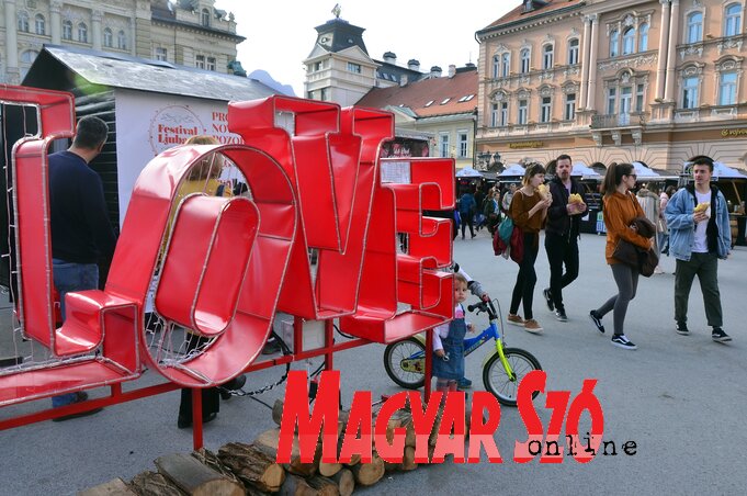 Dávid Csilla felvétele Dávid Csilla felvétele