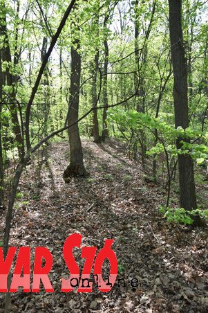 Fotó: Nagy Magdolna