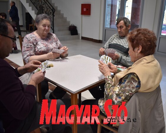 Fotó: L. Móger Tímea