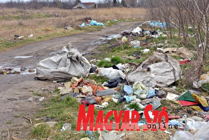 A lakosok egy része oda dobálja a szemetet, ahova gondolja (Fotó: Gergely Árpád) A lakosok egy része oda dobálja a szemetet, ahova gondolja (Fotó: Gergely Árpád)