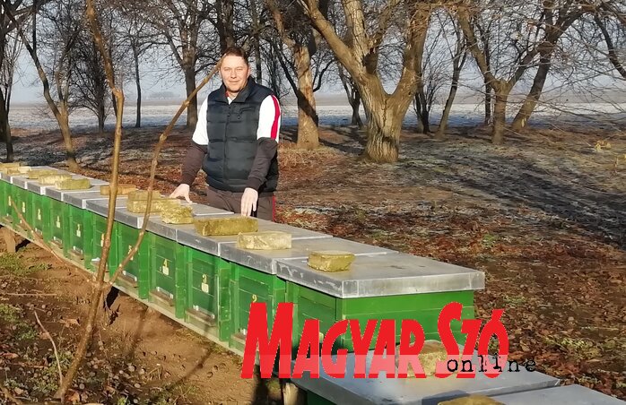 A fiatal méhész szerint a minőségi ellenőrzésre kellene nagyobb hangsúlyt fektetni (Fotró: Tóth D. Lívia) A fiatal méhész szerint a minőségi ellenőrzésre kellene nagyobb hangsúlyt fektetni (Fotró: Tóth D. Lívia)