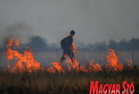 Fotó: Gergely József