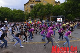 Fotó: Molnár Edvárd