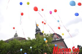 Fotó: Molnár Edvárd