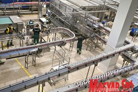 Új beruházások a Heineken újvidéki sörgyárában