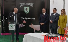 Új sertésfarm nyílt Doroszló mellett (Ótos András felvétele)