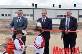 Új sertésfarm nyílt Doroszló mellett (Ótos András felvétele)