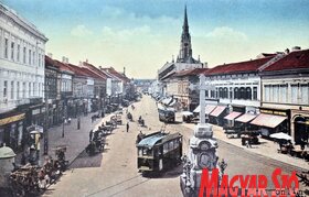 Újvidék fejlődésének bemutatása képeslapokon keresztül (Ótos András felvétele)