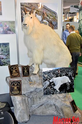 23. FeHoVa és Winter Dog Show