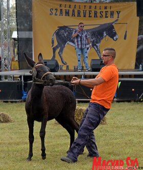 Fotó: Gergely József