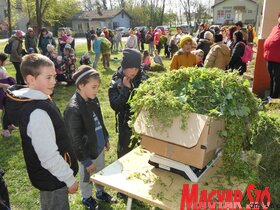 9. Felsőhegyi Tojásvadászat