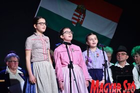 A Palics Magyar Művelődési Egyesület megemlékező ünnepsége az 1848/49-es forradalom és szabadságharc évfordulója alkalmából (Molnár Edvárd felvétele)