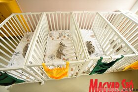 A művelődési ház és a Vackor óvoda kihelyezett tagozatának megnyitója Noszán (Molnár Edvárd felvétele)
