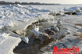 A magyar jégtörők Stari Banovci közelében