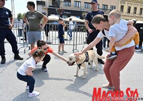 A rendőrség bemutatója Újvidéken