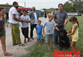 A sárkány őrzői Péterváradon (Ótos András felvétele)