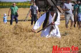 Több vajdasági településről és a környező országokból is (Magyarország, Horvátország és Bosznia-Hercegovina is képviseltette magát) érkeztek csapatok a versenyre