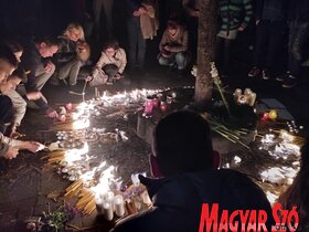 A Milutin király utcában több helyszínen gyújtottak gyertyát, hagytak üzenetet az elhunytaknak, helyeztek el virágokat a hozzátartozók, ismerősök, barátok százai, közöttük olyanok is akik együtt éreznek a meggyilkolt gyerekek családjával.