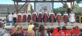 Bácsfeketehegyi Meggynapok (Lakatos János felvétele)