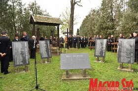 Fotó: Molnár Edvárd