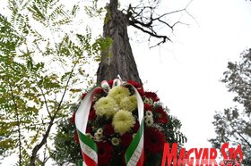 Fotó: Molnár Edvárd