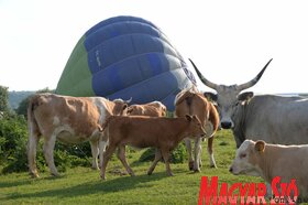 Bemutatták a turistákat szállító hőlégballonokat Krčedin szigetén