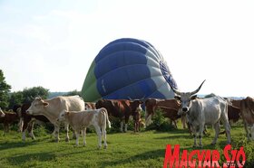 Bemutatták a turistákat szállító hőlégballonokat Krčedin szigetén