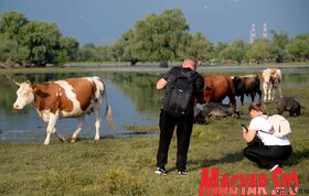 Bemutatták a turistákat szállító hőlégballonokat Krčedin szigetén