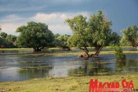 Bemutatták a turistákat szállító hőlégballonokat Krčedin szigetén